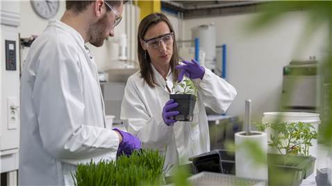 CIRSEE-Test-agronomique-chambre-de-culture