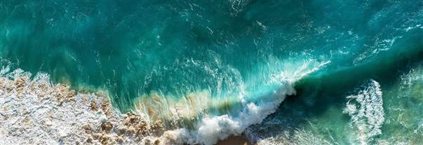 Visual_for_brand_use-124465