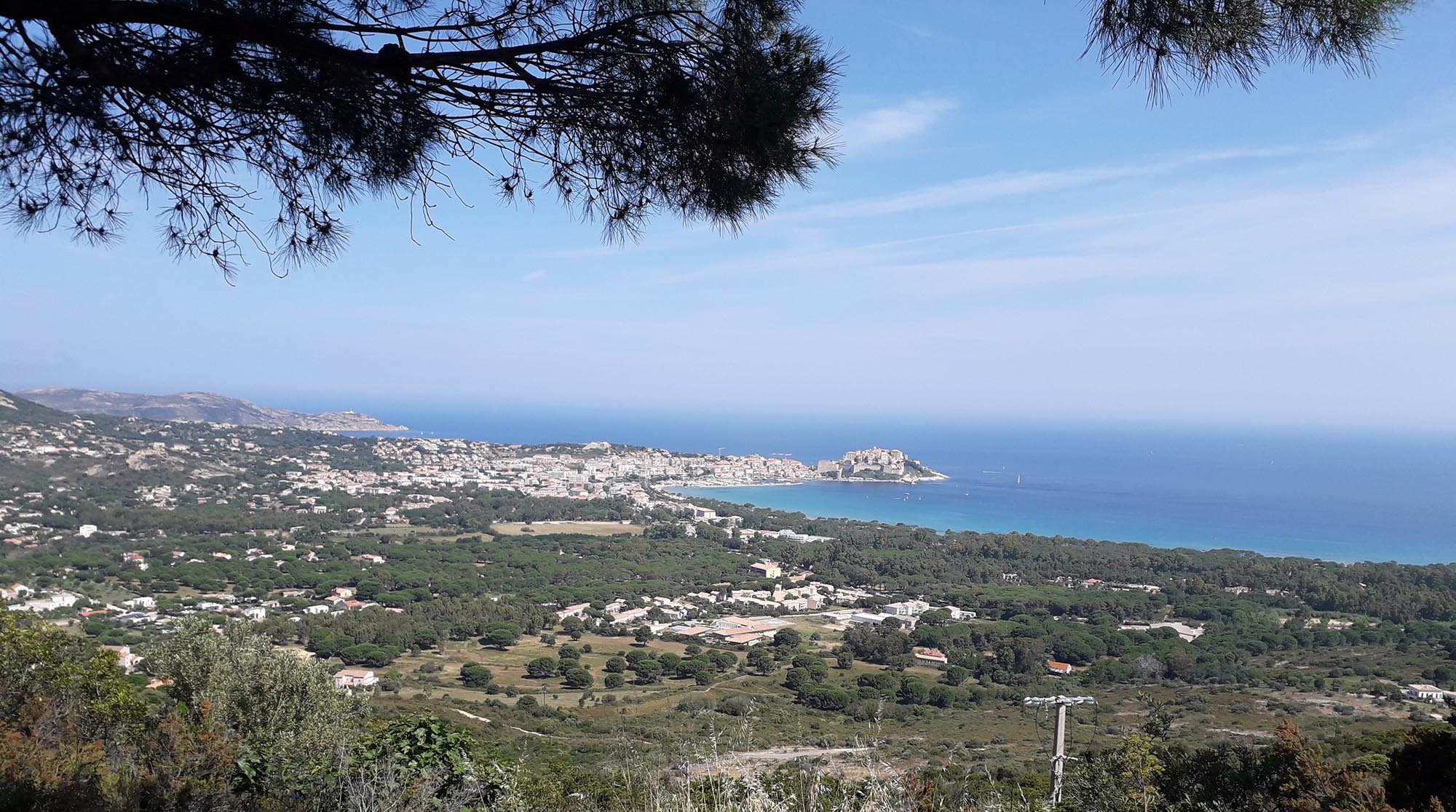 corse